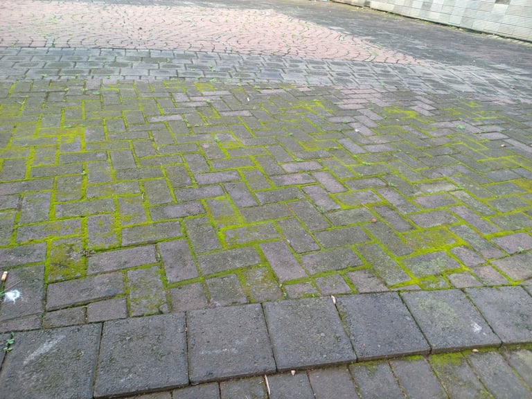 Block paving cleaning service