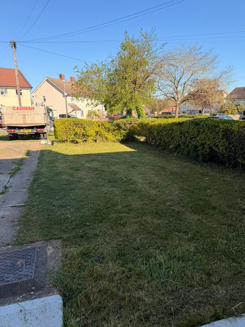 Suburban residential street with pristine lawn, manicured hedges, trees and brick houses — TJ's Tree and Garden Services maintaining properties throughout Ipswich