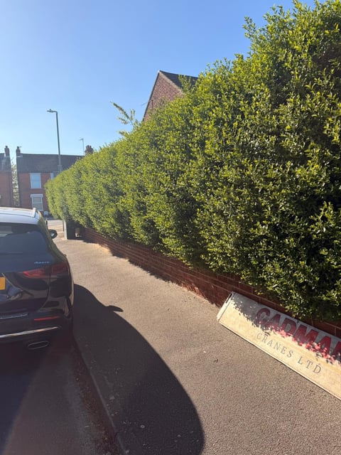 Residential driveway with neat hedge boundaries and parked car — professional garden maintenance creating kerb appeal in Essex by TJ's Tree and Garden