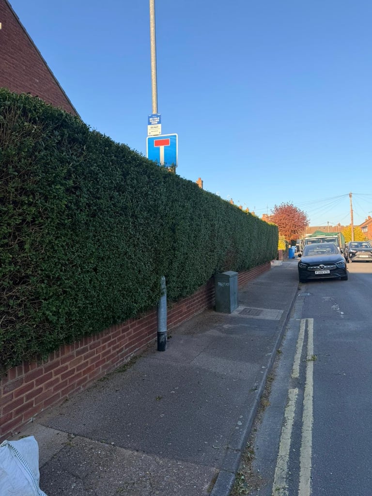 Street view with dense green hedge along brick wall, utility sign, parked car, and clear blue sky