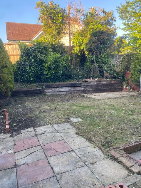 Overgrown backyard garden with large fallen tree logs, red brick paving, and dense ivy-covered walls with brick buildings in background