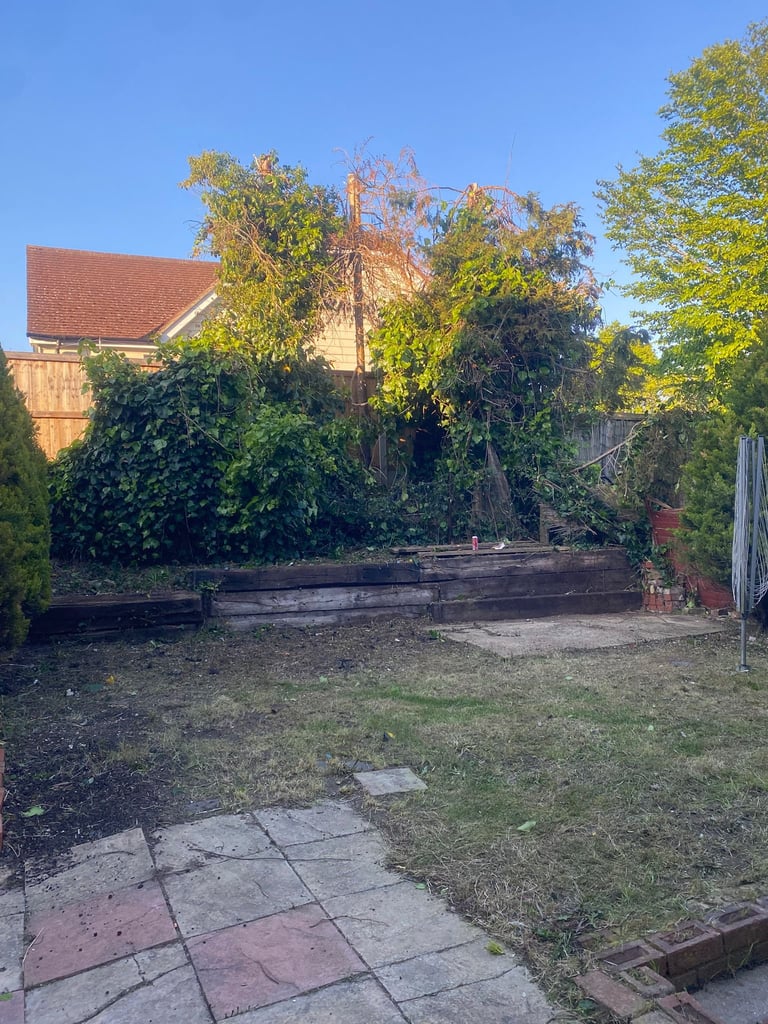 Overgrown garden with ivy-covered brick tower, wooden fence, patio stones, and overgrown grass under clear blue sky