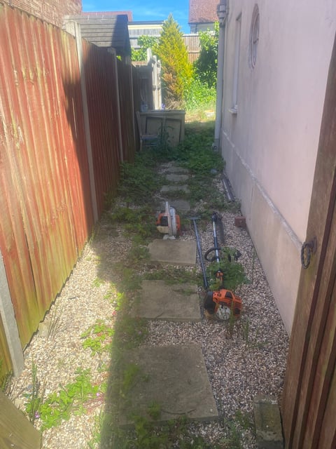 Narrow alleyway between red and white corrugated metal buildings with concrete stepping stones, gravel, overgrown vegetation, and a childs tricycle